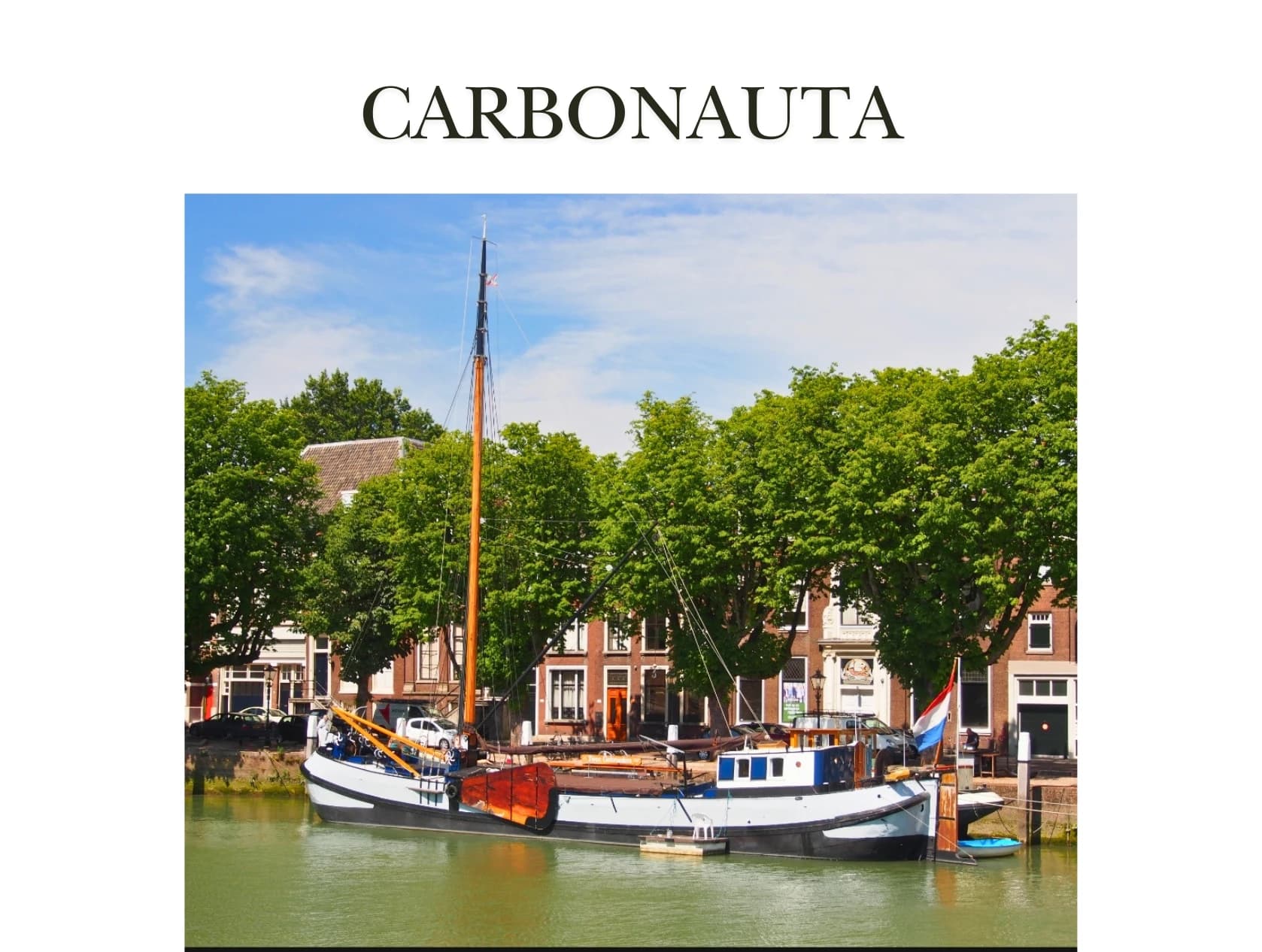 Carbonauta begon niet met AI